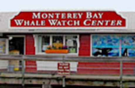 Monterey Bay Whale Watch