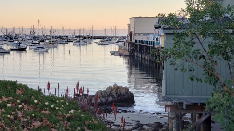 Fisherman's Monterey Wharf | Home